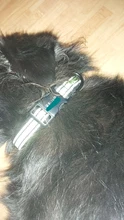 Dog-Personalized-Collar Cloth Reflective Metal Diving Collars Black Buckle Large Medium