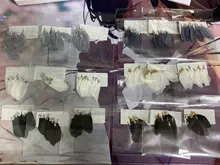 OlingArt plumas naturales 10 Uds plumas de colores 3,5 cm mujeres gargantilla collar de la joyería haciendo correas para llavero colgantes encantos