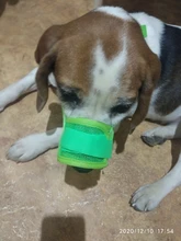 Dog-Muzzle Dog-Accessories Pet-Mouth Dogs Small Anti-Barking Nylon Adjustable for Large