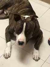 1/2/3-/.. Tubing-Wire-Cable Heat-Shrink-Tubing-Tube-Kit Insulation BLACK 10-Meter/Lot