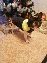 Vest Jacket Pets-Clothing Pug-Coat Puppy Dogs French Bulldog Waterproof Small Winter
