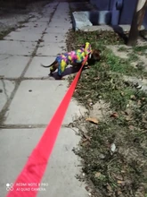 Correas de nailon para perros, correa de entrenamiento de Mascota para caminar, gatos, correa de plomo, 3 colores, 1,5 M, 1,8 M, 3M, 4,5 M, 6M, 10M