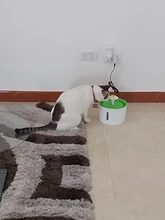 Bowl Pets-Drinker-Feeder Water-Dispenser Dog-Water-Fountain Cat Automatic USB Mute Electric