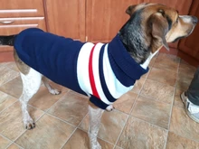 Coat Puppy-Suit Dog-Sweater Dogs Small Golden-Retriever Chihuahua Stripe Winter Warm