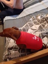 Ropa de perro para perros pequeños estampado bonito verano mascotas camiseta perro ropa chaleco para gatos mascota de algodón de T camisa Pug ropa trajes