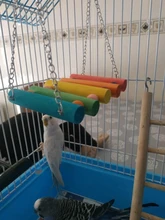 Columpio de madera Natural colorido para loros, accesorios para jaulas de pájaros y hámster, divertido, pájaro masticar, juguetes para mascotas pequeñas, columpios colgantes, 1 Uds.