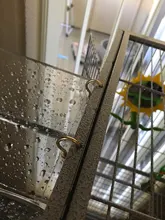 Bird Bathtub Cockatiel Shower Parrots Acrylic Cage Pet-Supplies Parakeets with Hanging-Hooks
