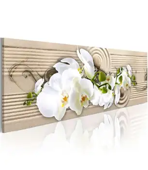 

Picture-Desert Flower