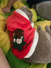 Christmas Dog Clothes Small Dogs Santa Costume for Pug Chihuahua Yorkshire Pet Cat Clothing