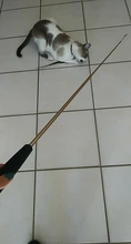 Cat-Stick Toys-Set Teaser Funny Kitten Training-Rod Pet-Supplies Exercise Pets Retractable