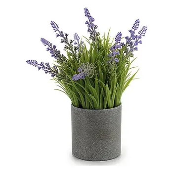 

Decorative Plant Ibergarden Grey Plastic (8 x 23 x 8 cm)