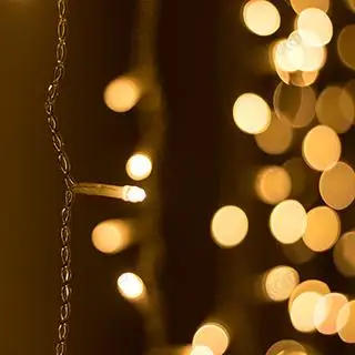 

024835 led String Light warm (230V, 12W)-1 pc Arlight