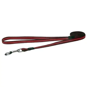 

Dog Leash rogz pavement 8 m red