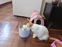 Dispensador de agua para mascotas, bebedero automático para gatos y perros, dispensador de agua eléctrico con USB, bebedero silencioso