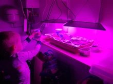 Light-Panel Growth-Light Phyto-Lamp Tent-Plants AC85-240V Eu/Us-Plug 1000w Led Full-Spectrum