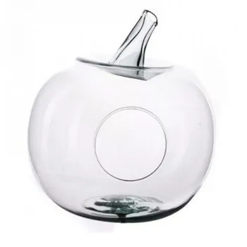 

Medium Apple Vase Terrarium-26 cm