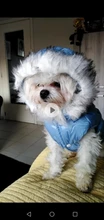 Dog Cat Winter Warm Coat Jacket Dress Pet Puppy Hoodie Winter Warm Clothes Apperal