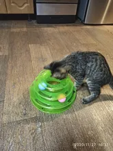 3 Levels Pet Cat Toy Funny Tower Tracks Disc Cat Tracks Toys Training Intelligence Amusement