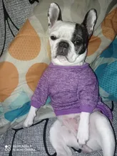 Ropa de Perro para perros pequeños de Jersey para Perro Ropa para perros de invierno Ropa de Chihuahua clásico mascota traje de Ropa Perro 20-22S1