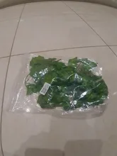 Vid Artificial reptil lagarto terrario decoración camaleones subir resto plantas hojas