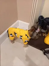 Ropa de Perro de algodón francés mascota Bulldog mono caliente Ropa de mascotas para pequeños perros mediano traje de invierno traje de Perro Ropa de Perro