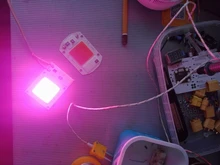 Phyto-Lamp Grow-Light Led-Chip Seedling No-Need-Driver Full-Spectrum 220V COB 110V AC