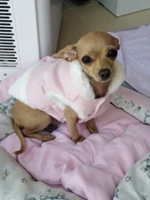 Jacket Pet-Coat French-Bulldog For Chihuahua Puppy-Vest Warm Dog Mascotas Winter Small