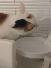 Fuente de Gato de 2L con luz azul, dispensador de agua automático alimentado por USB, alimentador de gatos, filtro de bebida para gatos y perros, proveedor de mascotas