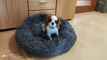 Peluche de Mascota para cama, supersuave, para perro y gato, cálido, cómodo, redondo, esterilla para dormir, esponjosa, lavable, casa, sofá para mascotas, Cushi