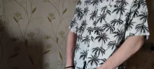 Camisa de playa para hombre, camisetas casuales, estampadas, holgadas y florales de manga corta a la moda, M-4XL talla grande 5XL, ropa asiática hawaiana, superventas de verano