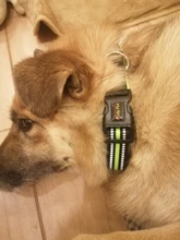 Breathable Mesh Nylon Dog Collar Reflective Pet Collars For Dogs Small Medium Large Dog