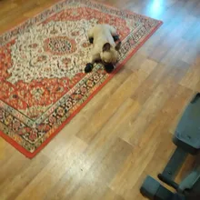 4 unidades/juego de zapatos de lluvia antideslizantes de Cachemira suave y cálida para mascotas, calzado suave a prueba de viento para perros y mascotas, zapatos impermeables antideslizantes