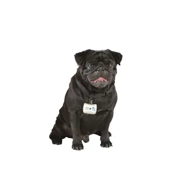 

Camera BIMAR with necklace-For dogs and cats
