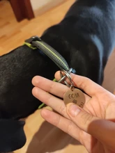 Collar antipérdida para perro, etiqueta de identificación de mascota personalizada, nombre de identificación grabado para gato, Collar de cachorro, accesorios para mascotas, envío directo