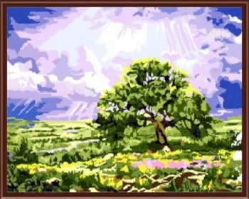 

Painting by numbers Standard: Wood in лучах