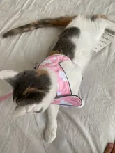 Arnés antirpérdida para gatos y perros, correa de chaleco, collar, Gargantilla, accesorios para chihuahua