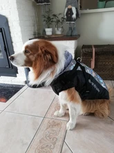 Pet-Dog-Clothes Clothing Walking-Harness Dogs Outdoor Waterproof Large Winter Medium