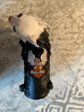 Jacket Dog-Coat Puppy Eagle-Pattern Waterproof Outdoor Outerwear Pet Small Soft Fashion