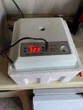 Incubadora de huevos de 220V, incubadora de codornices para aves de corral, herramientas de incubación automática