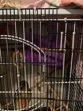 Pet Parrot Hammock Bird Hanging Bed House Plush Winter Warm Cage Nest Tent