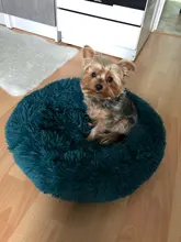 Beds Pet-Kennel Dog-Bed Dog/cat-House Super-Soft Fluffy Dounts Plush Long for Hondenmand