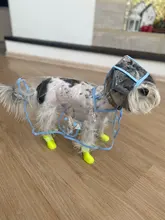 4pcs Pet Dog Shoes Waterproof Rain Pet Shoes for Dog Puppy Rubber Boots Candy Color Puppy