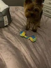 Dog-Toy Rope Knot-Ball HOOPET Chews Teeth-Odontoprisis Small Large Cotton 7-Style Grinding