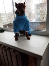 Winter Overalls for Dogs Warm Waterproof Pet Jumpsuit Trousers Male/ Female Dog Reflective