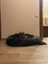 DEKO-camas supersuaves para perros, cojín redondo mullidas de gato, esterilla cálida y cómoda para dormir, sofá lavable, suministros para cachorros