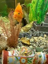 Aquarium-Decoration Statue Terrarium Island-Stone Resin Ornament Easter Fish-Tank Home-Decor