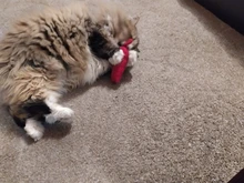 Cat-Toy Interactive-Tools Pet-Supplies Plush-Toys Mint-Scratcher Catnip Teeth-Grinding