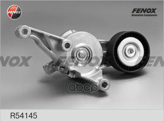 R54145_ролик Ремня Генератора С Механизмом Натяжения! Vw Passat/Golf/Touran/T5 1.9/2.0tdi 04 Fenox R54145 FENOX арт. R54145