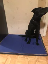 Cama grande para perro, colchoneta de espuma viscoelástica, transpirable, colchón ortopédico de fondo Oxford, para mascota mediana grande pequeña