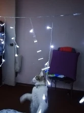 String Light Decorative-Light Led Curtain Christmas Garland Icicle Stage Led-Faiy Garden